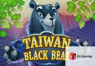 Taiwan Black Bear